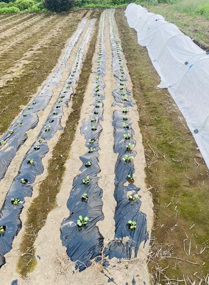 This image has an empty alt attribute; its file name is 21.jpg